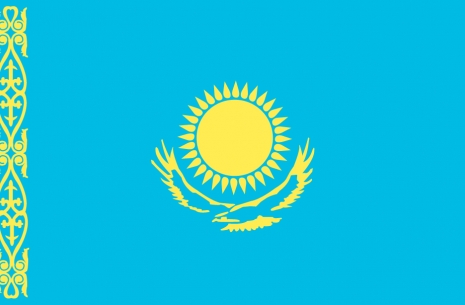 Kazakhstan National Championships 2014 # Siłowanie na ręce # Armwrestling # Armpower.net