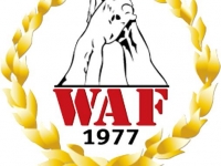 Kryzys w WAF # Siłowanie na ręce # Armwrestling # Armpower.net